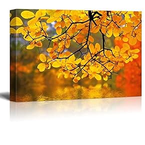 Yellow Branch Trees Framing a Lake