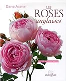 Les roses anglaises by 
