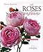 Les roses anglaises by 
