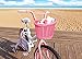 Colorbasket Junior Front Handlebar All Wicker Bike Basket, Water Resistant, Hand Woven, Adjustable Leather Straps, Pink