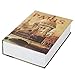 Jssmst Diversion Book Safe with Key Lock, Secret Hidden Book with Safe Inside, Metal Lock Box Fake Book Money Safe High Capacity, 9.5 x 6.2 x 2.2 inches, SM-BS019PN