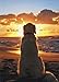 Dog Sitting On Beach At Sunset - Avanti Golden Retriever Pet Sympathy Card by Avanti Press