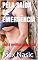 Livro PELA SAÍDA DE EMERGÊNCIA: conto erótico sodomita