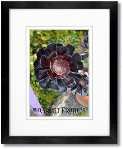 Set of 2 - 14x18 Black Wood Frames and Glass with White Double Mat for 10x13