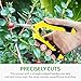iPower GLPRNR6 6.5 Inch Pruning Shears Hand Pruner for Gardening Potting with Straight Stainless Steel Blades, Yellowthumb 2