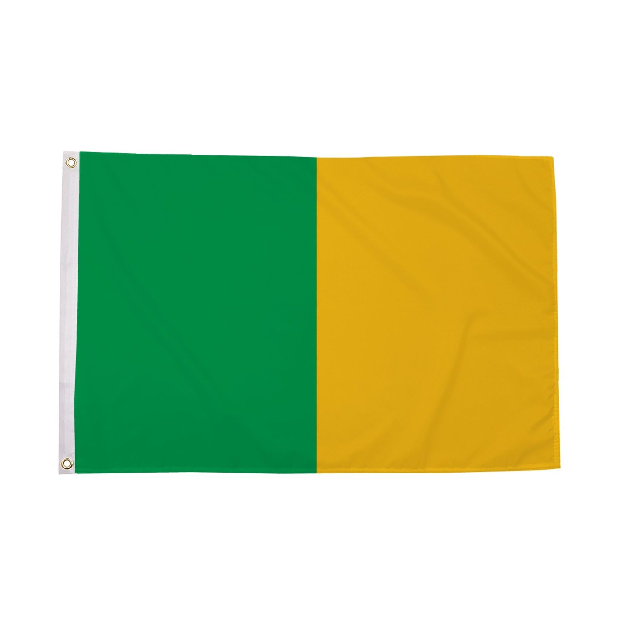 Flagtex Irish County Flag Green Gold Small 3ft x 2ft (90cm x 60cm) - GAA Flag Compact, County Colours Team Banner for Garden Display, Gaelic Games Sports Flag