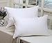 Topsleepy Goose Down and Feather Filling Queen Bed Pillows, 2-Pack, Cotton Cover, 300 TC,Queen/Standard Size