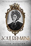 Soul Remains (Terribly Serious Darkness Book 2) by Sam Hooker