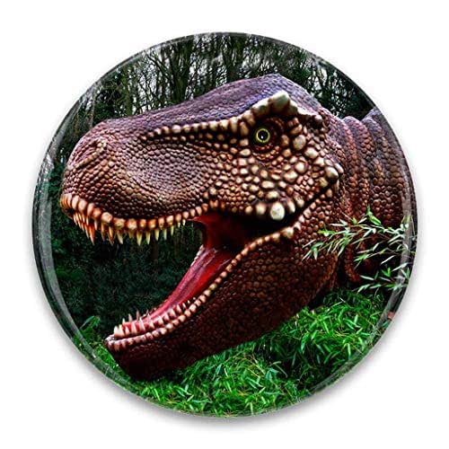 amazoncom dinosaur print number 1 pocket mirror