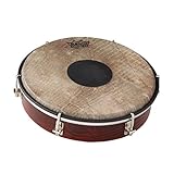 Remo HD9210-83-SD 10 x 2 Inches Clear Tone