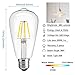 Dimmable LED Edison Bulb 4W 2700K Warm White, 40W Incandescent Equivalent Vintage ST64 LED Filament Bulbs, E26 Medium Base, Clear Glass Cover, Pack of 10