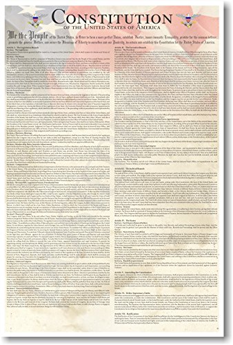 The U.S. Constitution - US History Government Classroom School Poster