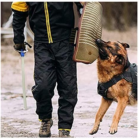 german shepherd training equipment