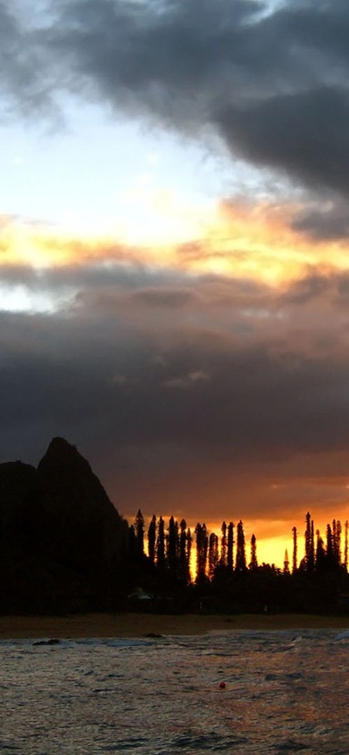 PeelitStickit, Beautiful Nature Wall Murals, ID-1073, vinyl