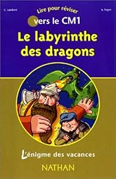 Le  labyrinthe des dragons