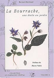 La  bourrache, une étoile au jardin !