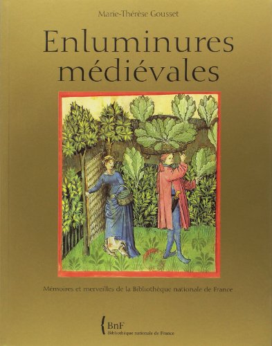 Enluminures médiévales : Mémoires et merveilles de la Biblothèque nationale de France by Marie-Thérèse Gousset