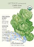 Lettuce Romaine Little Gem Certified Organic Seed
