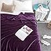 Qbedding Inc. Luxury Collection Microplush Flannel Fleece Blanket | Ultra Soft 380 GSM Lightweight All-Season Anti-Static Throw/Blanket for Sofa Couch Bed (Queen (78-Inch-by-90-Inch), Purple)