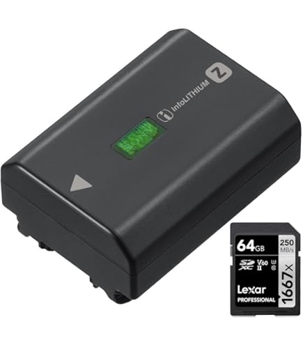 Amazon.com: Sony NPFZ100 Z-Series Rechargeable Battery
