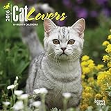 Cat Lovers - 2016 Mini Wall Calendar 7 x 7in