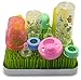 Water Bottle, Dish Drying Rack, Sippy Cup, Baby Bottle Drying Rack, BPAfree, Non Toxic, Helps Safely Dry All Baby Stuff By Breve Home Goods