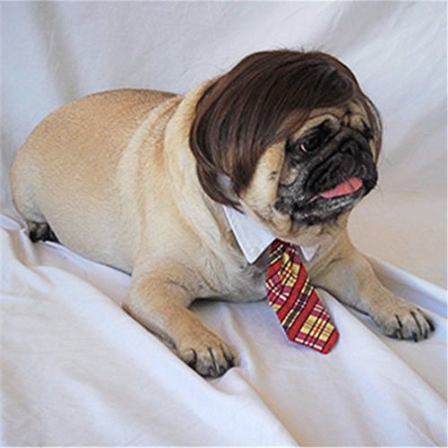 Dog Wig Pet Costumes, FMJI Cat Costume Synthetic Accessories Small Dog Headwear for Halloween Christmas Eve Festival Party - Thumbnail 2