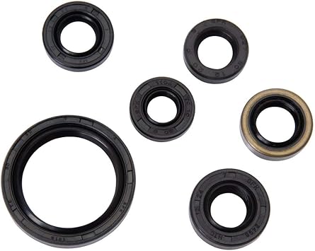 Amazon Com Engine Oil Seal Kit For Kawasaki Kfx 450r 08 14 Automotive