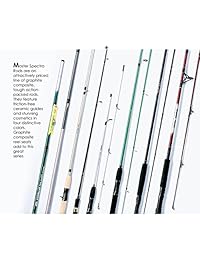 Master de aparejos de pesca Spectra Rod para surf s (2 piezas), 10 ', negro oro Guías de Metal Chapado en oro