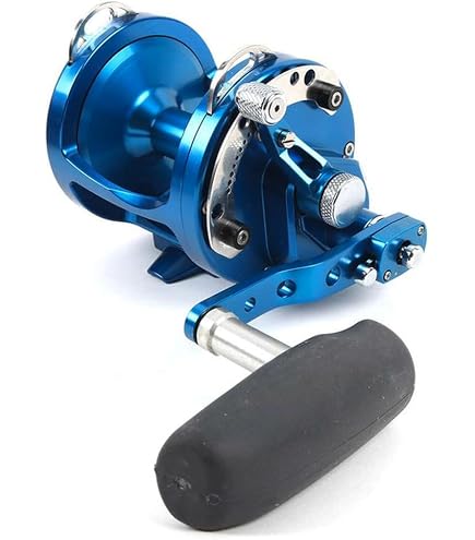 Avet Reels 2-Speed Reel, Gold, Right : Sports & Outdoors