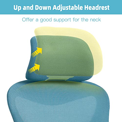 HOMEFUN Ergonomic Office Chair, Mesh Computer Desk Chair with Headrest, Adjustable High Back