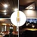 Kohree LED G4 Bulb Bi-Pin Base, 12V G4 LED Bulb 2W 20W Halogen Replacement, 2900K Warm White Light Bulb, 2nd Generation, No Flicker, Dustproof Shockproof AC/DC 12 Volt Bulb for Landscape RV, 10 Packs