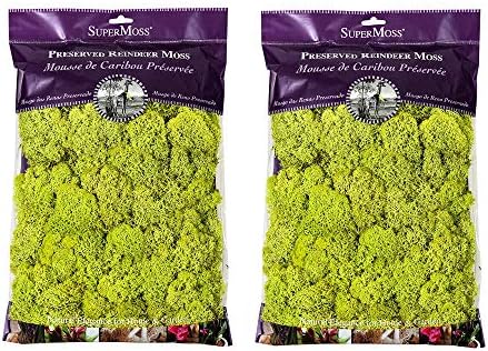 2 Item Bundle - Super Moss Value Pack Bag 2 Bags Chartreuse Reindeer Moss 21669 (8 oz.)