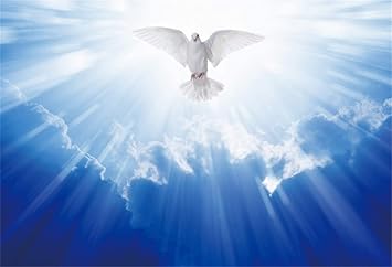 Amazon Com Leowefowa 5x3ft Jesus Christ Backdrop Vinyl Holy Light Beams Dove In The Air With Wings Wide Open Photography Background Peace Symbolic Church Sanctuary Decor Christian Photo Shoot Camera