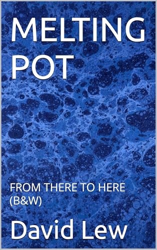 MELTING POT: FROM THERE TO HERE (B&W)