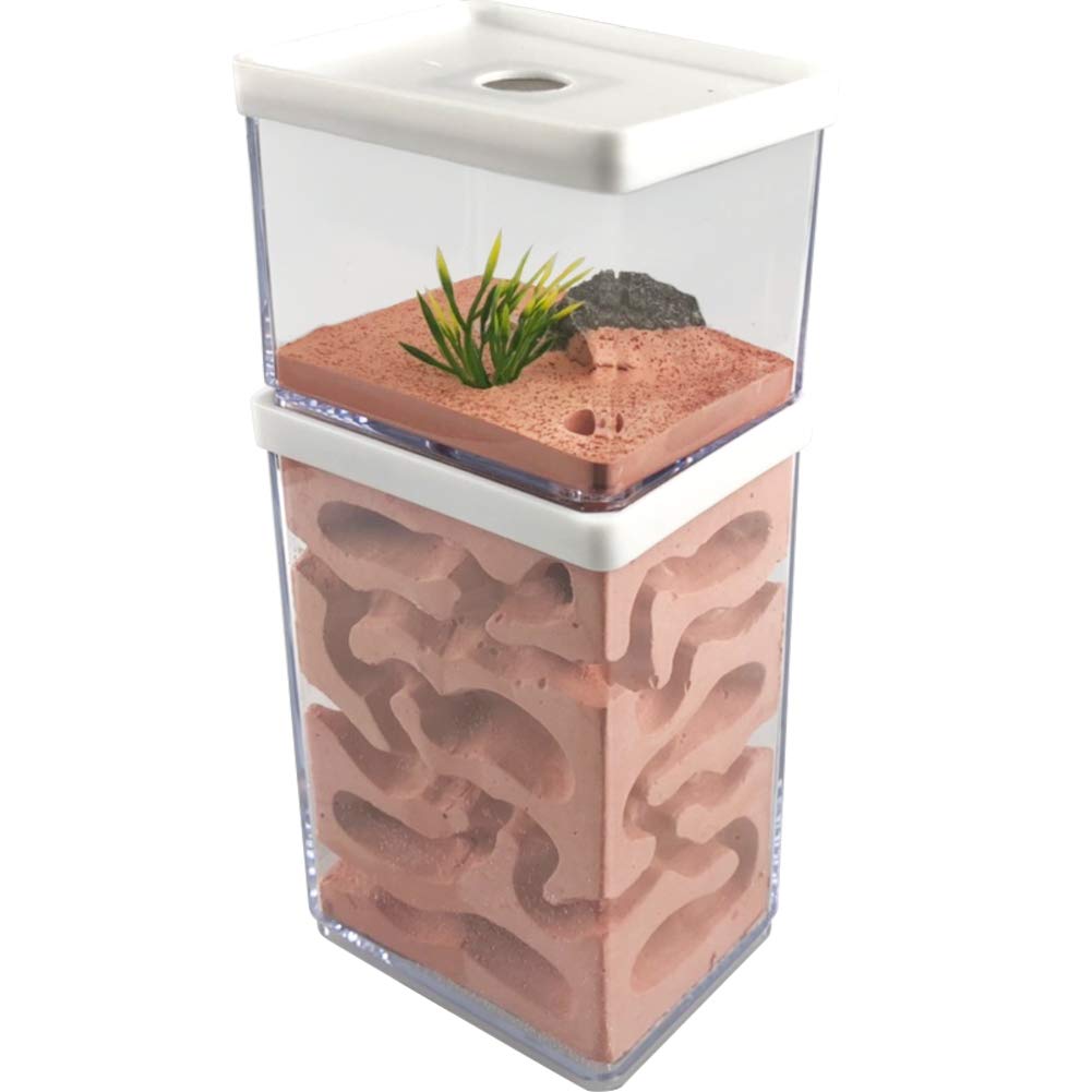 MOCOHANA Ant Farm Box Ant Home for Kids Study of Ant Behavior Ant Nest