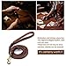 FOCUSPET Heavy Duty Leather Dog Leash with 2 Handles,Padded Traffic Handle for Extra Control,6Ft Dog Training Walking Leashes for Medium Large Dogs