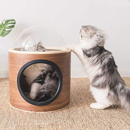 cat space capsule