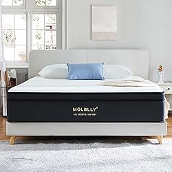 Molblly Queen Mattress, 12 Inch Hybrid Mattress in