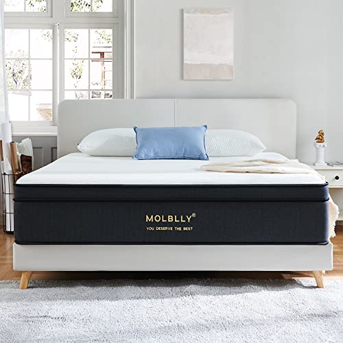 Molblly Queen Mattress, 12 Inch Hybrid Mattress in