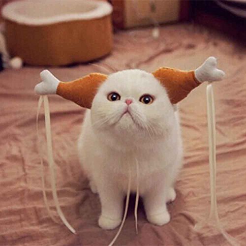 Ztl Pet's Novelty Turkey Drumstick Headband Dog Cat Cute Headwear Funny Headdress