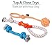 TEANDE 10 Pack Dog Toys Set by Wiggler Pets | Durable Rope Chew Squeaky Toy Value Pack for Small Puppy and Medium Doggie | Interactive Tug of War Outdoor Toys | Exercise Toys Variety Bundle for Dogs