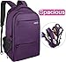 LAPACKER 15.6-17 inch Business Laptop Backpacks for Women Mens, Water Resistant Laptop Travel Bag with USB Charging Port, Lightweight College Notebook Computer Backpack - Purple