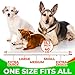 Pawstopia Flea Collar for Dogs - Best Protection Vet Recommended Hypoallergenic Waterproof - Adjustable Flea and Tick Prevention for Dogs - Natural Prevention from Fleas Ticks Larvae Treatment