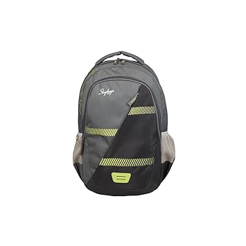 Skybags 26 Ltrs Black Casual Backpack (BPEON3BLK)