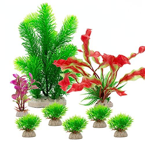 The Best Turtle Tank Accessories Dogtime