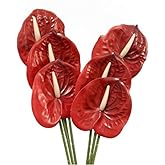 OUKEYI 24" Artificial Anthurium Lily Flowers,6pcs Shabby Blush Silk Filler Flower, for DIY Wedding Bouquets Centerpieces Arrangements Bridal Shower Party Home Decorations