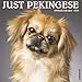 Just Pekingese 2020 Wall Calendar (Dog Breed Calendar) by 