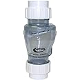 Valterra 200-CU20 PVC Swing/Spring Combination Check Valve, Clear, 2" Union