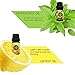MASEN Aromatherapy Essential Oil Set for Diffuser Popular Fragrance Oils Blends (Lavender, Rose, Lemon Grass, Sweet Orange, Tea Tree, Peppermint) Long Lasting Scents 6 * 10ml
